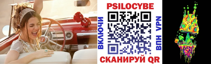 Псилоцибиновые грибы мицелий  где купить наркоту  Луза 