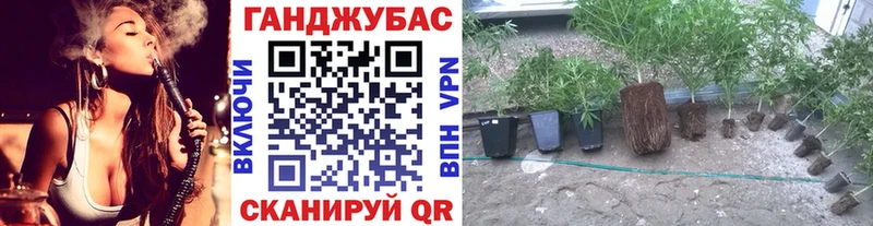 shop официальный сайт  где купить   Луза  Марихуана AK-47 